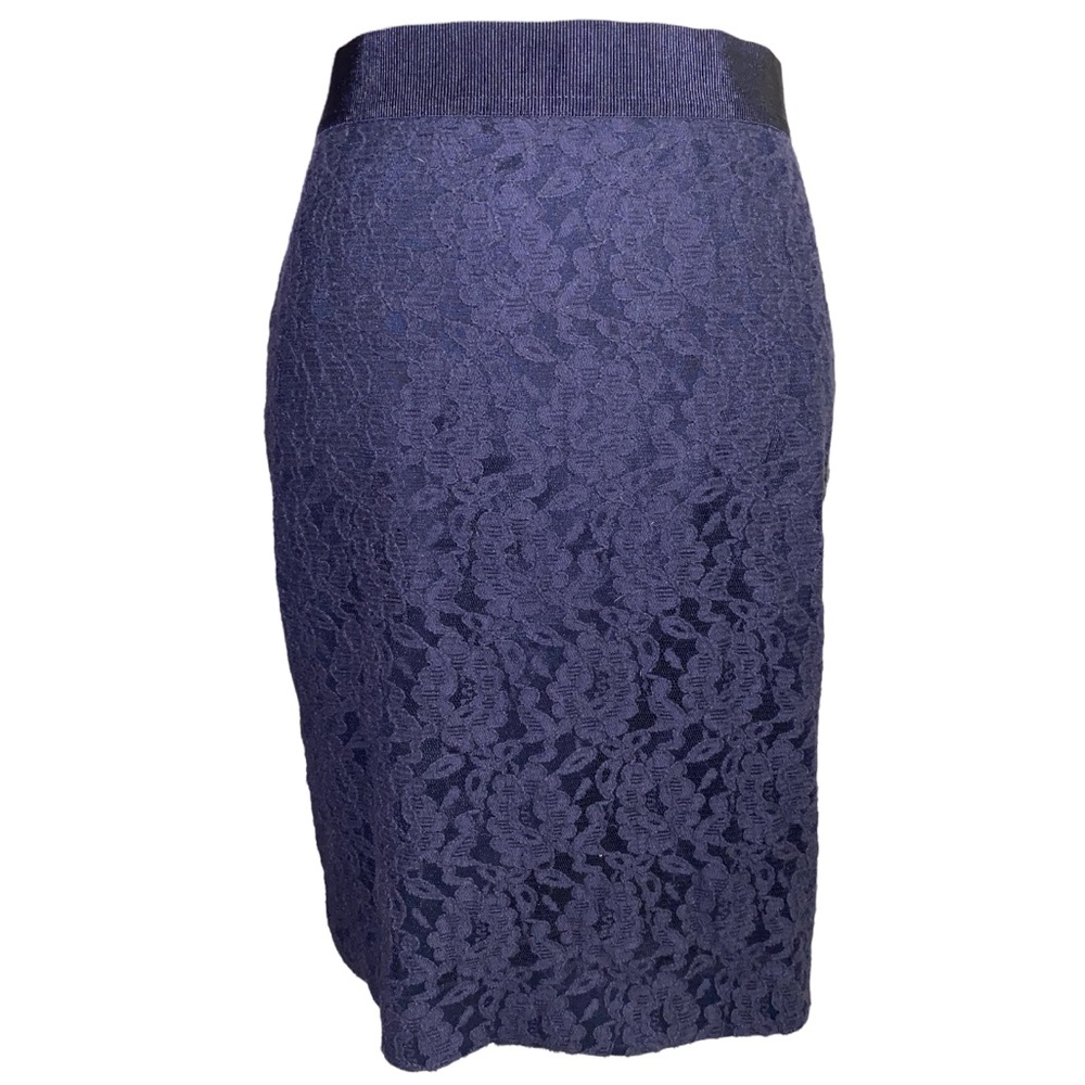 Ann taylor beautiful lace pencil skirt in Navy, Size 2